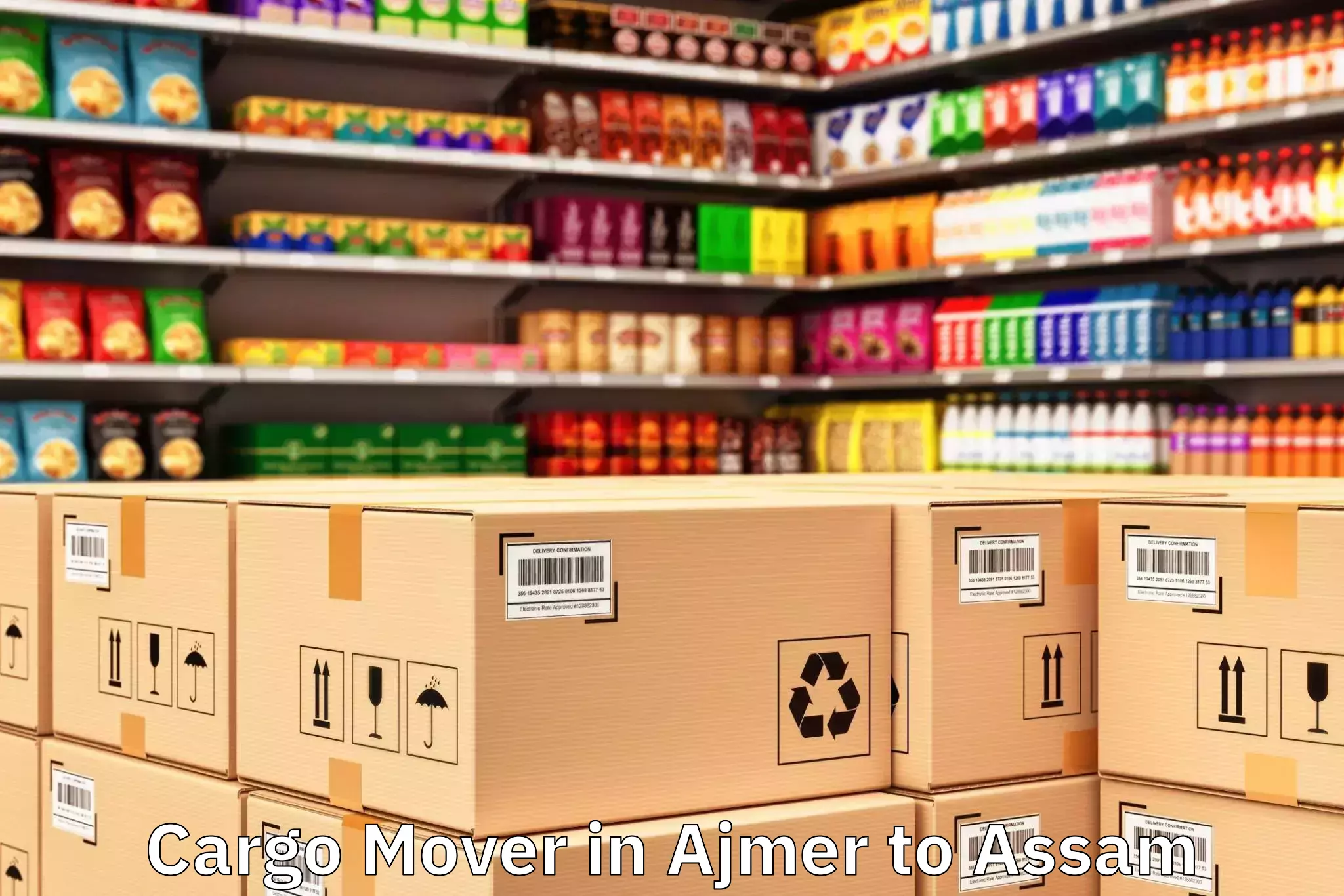 Hassle-Free Ajmer to Dibrugarh University Dibrugarh Cargo Mover