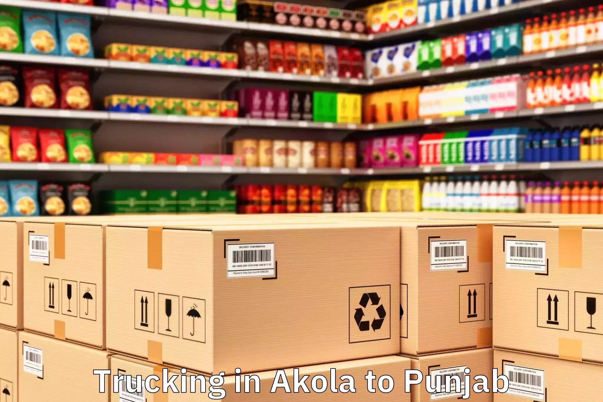Leading Akola to Ajnala Trucking Provider
